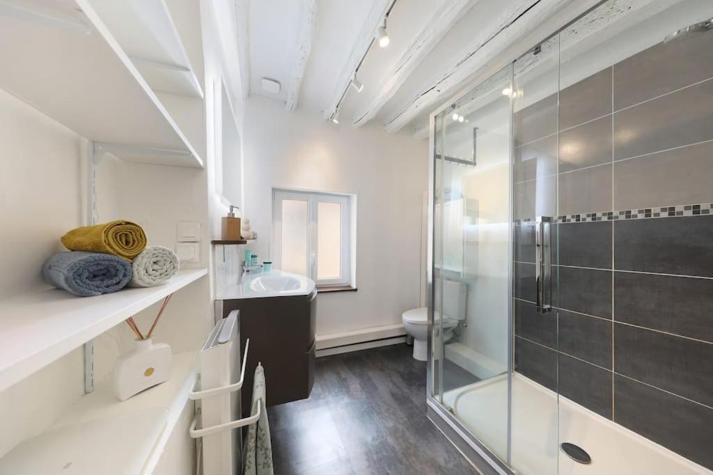 Maison Exception Proche Cdg Paris Asterix Chantilly Climatisation Parking